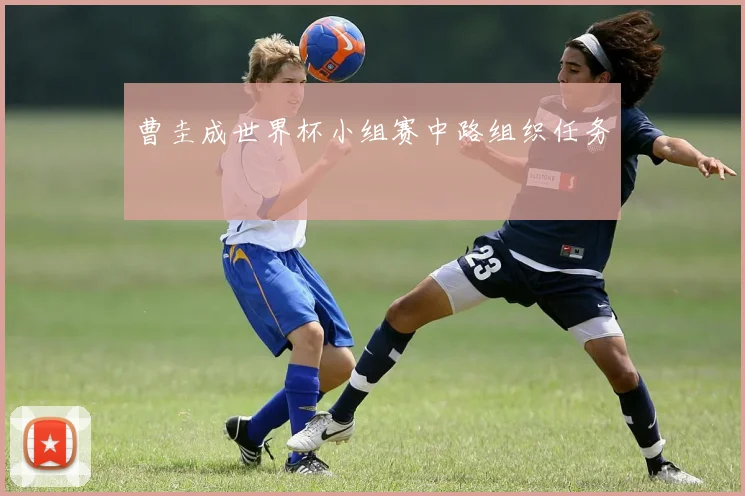 曹圭成世界杯小组赛中路组织任务