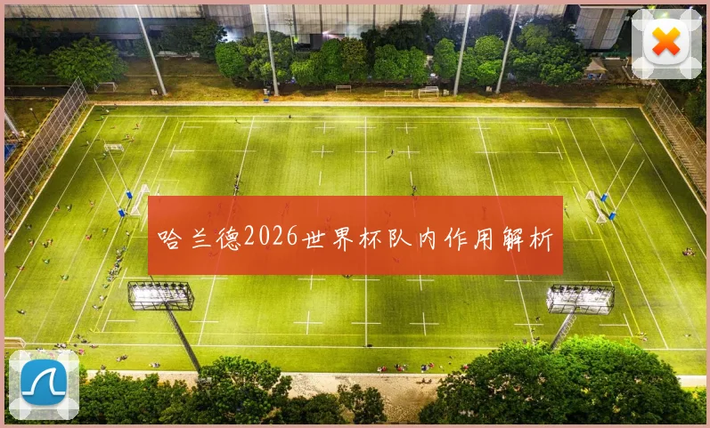 哈兰德2026世界杯队内作用解析