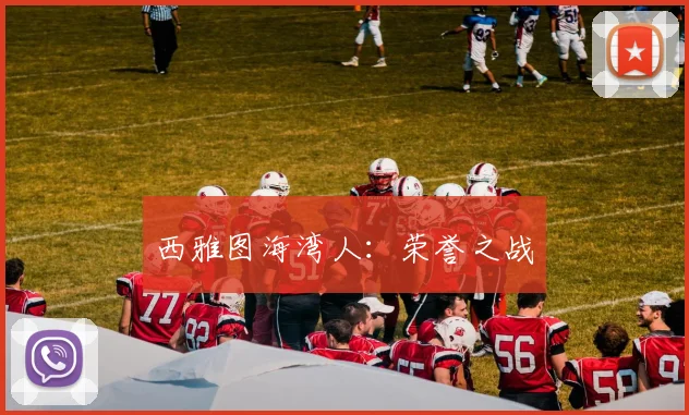 西雅图海湾人：荣誉之战